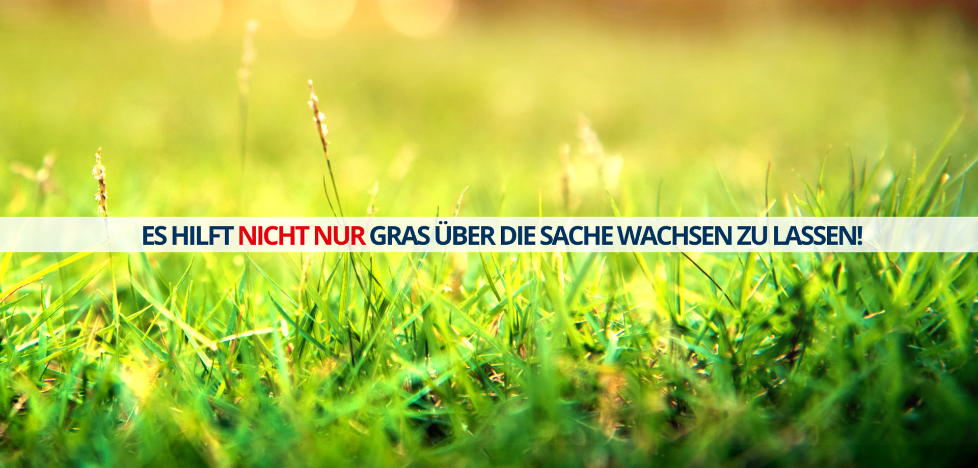 Graswiese im Sonnenschein, darunter steht: Es hilft nicht nur Gras über die Sache wachsen zu lassen!