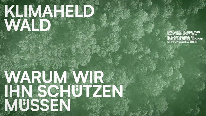 Titelbild Klimaheld Wald- Warum wir Ihn Schützen müssen!